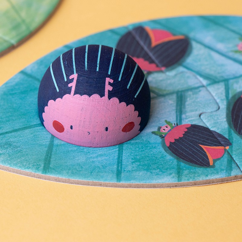 First insect puzzle